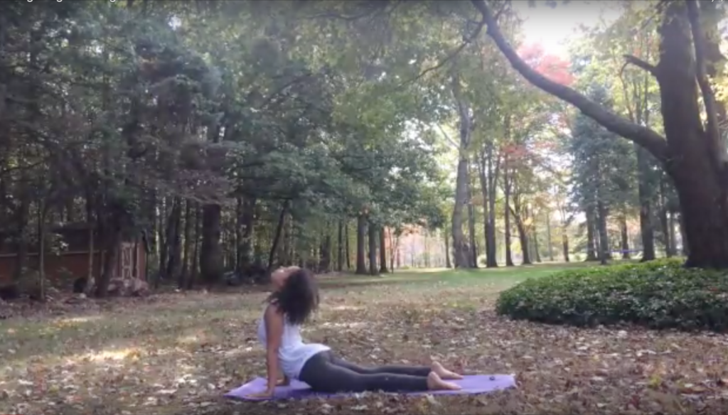 Energizing Fall Yoga