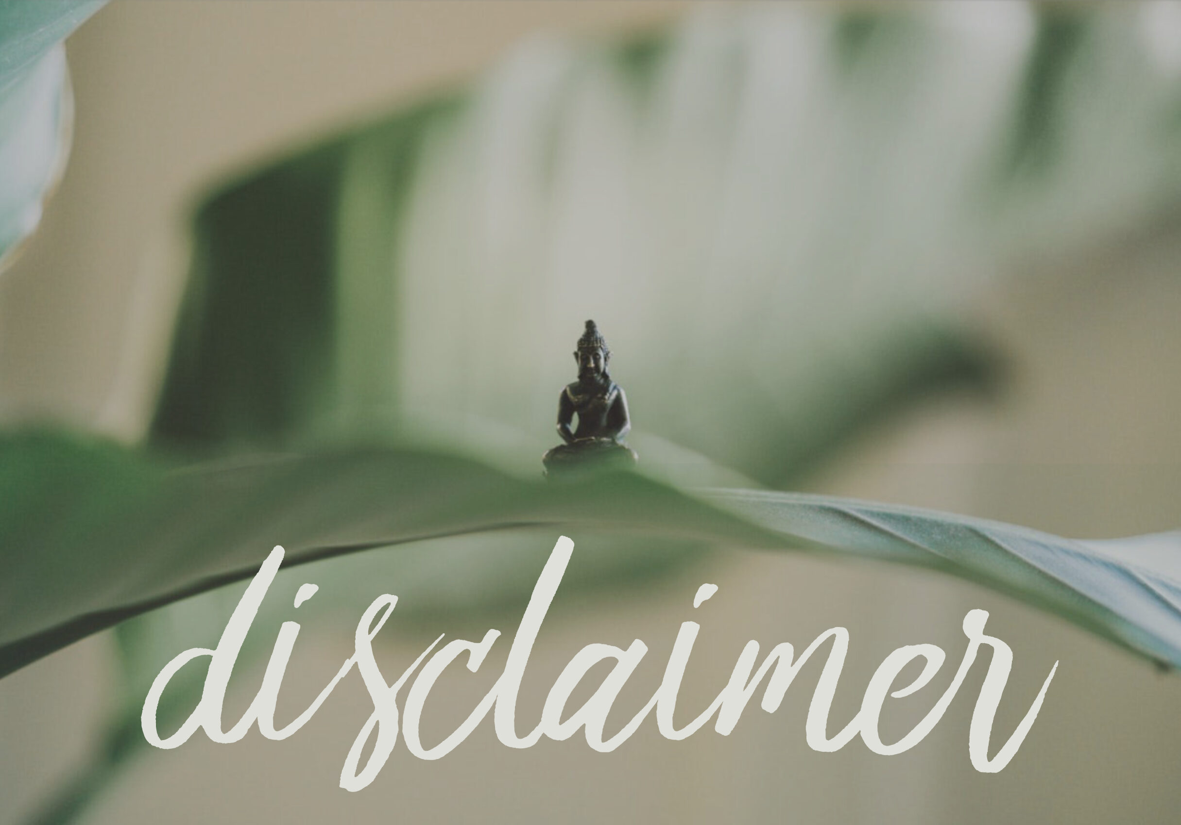 disclaimer header cindi lee