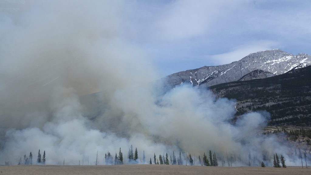 California Wildfires